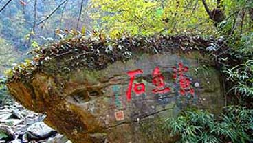 Leigongshan Nature Reserve: 
Guizhou - Kaili; 
Travel in Kaili, Guizhou 