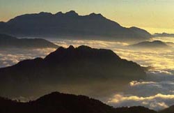 Mt. Ali: 
Taiwan - Taiwan; 
Travel in Taiwan, Taiwan 