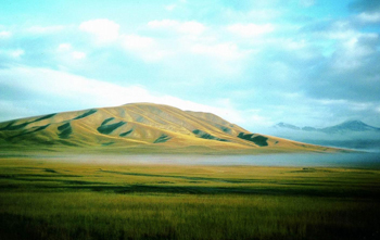 Bayanbulak Grassland: 
Xinjiang - Korla; 
Travel in Korla, Xinjiang 