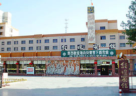 Dunhuang City: 
Gansu - Dunhuang; 
Profile in Dunhuang, Gansu 