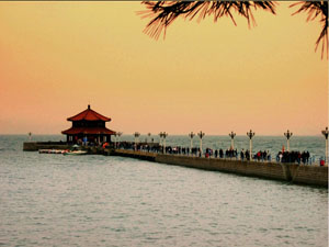 Qingdao City: 
Shandong - Qingdao; 
Profile in Qingdao, Shandong 